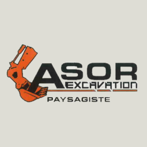 ASOR EXCAVATION